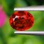 พลอย ทับทิม ซองเจีย Songea Ruby Sapphire 1.09 กะรัต (Cts.) พลอยแท้ อัญมณีมงคลประจําวันเกิด เครื่องประดับพลอย