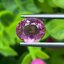 พลอย ทับทิม Ruby Sapphire 2.11 กะรัต (Cts) พร้อมใบเซอร์ พลอยแท้ อัญมณีมงคลประจําวันเกิด เครื่องประดับพลอย