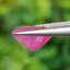 พลอย ทับทิม พม่า (Burmese Ruby Sapphire) 3.94 กะรัต พลอยแท้ อัญมณีมงคลประจําวันเกิด เครื่องประดับพลอย