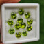 พลอย เพอริดอต Peridot 11.07 กะรัต (Cts.) 12 เม็ด (pcs.) พลอยแท้ อัญมณีมงคลประจําวันเกิด เครื่องประดับพลอย