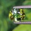 พลอย ทัวร์มาลีน Tourmaline 1.41 กะรัต (Cts.) พลอยแท้อัญมณีมงคล ประจําวันเกิด เครื่องประดับพลอย