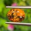 พลอย เพทาย Natural Zircon 4.51 กะรัต (Cts.) พลอยแท้อัญมณีมงคล ประจําวันเกิด เครื่องประดับพลอย