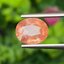 พลอย พัดพารัดชา Padparadscha Sapphire 2.45 กะรัต (Cts.) พร้อมใบเซอร์ พลอยแท้ อัญมณีมงคลประจําวันเกิด เครื่องประดับพลอย