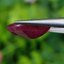 พลอย ทับทิม Ruby sapphire 5.58 กะรัต พลอยแท้ อัญมณีมงคลประจําวันเกิด เครื่องประดับพลอย