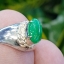 หยก พม่า แท้ Jade แหวนหยก 翡翠戒指 (Jadeite ring) 0.79 กะรัต (Cts.) (Size) 54 ดิบ ไม่ผ่านการปรับปรุง (Type A) พม่า (Myanmar)