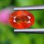 พลอย บุษราคัม Yellow Sapphire 1.15 กะรัต (Cts.) พลอยแท้ อัญมณีมงคลประจําวันเกิด เครื่องประดับพลอย