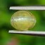 พลอย ตาแมว คริโซเบริล Cat eye Chrysoberyl 1.45 กะรัต (Cts.) พลอยแท้ อัญมณีมงคลประจําวันเกิด เครื่องประดับพลอย
