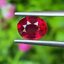 พลอย ทับทิม Ruby sapphire 1.72 กะรัต (Cts.) พลอยแท้ อัญมณีมงคลประจําวันเกิด เครื่องประดับพลอย