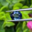 พลอย ไพลิน Blue Sapphire 1.34 กะรัต (Cts.) พลอยแท้ อัญมณีมงคลประจําวันเกิด เครื่องประดับพลอย