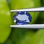 พลอย ไพลิน Blue Sapphire 0.67 กะรัต (Cts.) พลอยแท้ อัญมณีมงคลประจําวันเกิด เครื่องประดับพลอย