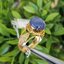 แหวน พลอยแท้ ไพลินพม่า ดิบ (Size) 58 Blue Sapphire Silver Ring ตัวเรือนเงินชุบทอง