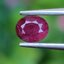พลอย ทับทิม สยาม (Siam Ruby Sapphire) 0.92 กะรัต (Cts.) พลอยแท้ อัญมณีมงคลประจําวันเกิด เครื่องประดับพลอย