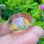 โป่งข่าม ควอตซ์ Rutilated Quartz 49.15 กะรัต Cts. พลอยแท้ อัญมณีมงคลประจําวันเกิด เครื่องประดับพลอย