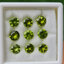 พลอย เพอริดอต Peridot 9.00 กะรัต (Cts.) 9 เม็ด (pcs.) พลอยแท้ อัญมณีมงคลประจําวันเกิด เครื่องประดับพลอย 9.00