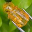 อำพัน แกะสลัก พญาตัวต่อ Wasp Natural Amber พลอยแท้ อัญมณีมงคลประจําวันเกิด เครื่องประดับพลอย