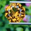 พลอย ซิทริน Citrine 10.03 กะรัต (Cts.) พลอยแท้ อัญมณีมงคลประจําวันเกิด เครื่องประดับพลอย