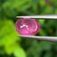 พลอย ทับทิม Ruby sapphire 1.13 กะรัต (Cts.) พลอยแท้ อัญมณีมงคลประจําวันเกิด เครื่องประดับพลอย