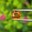 พลอย บุษราคัม Yellow Sapphire 1.03 กะรัต (Cts.) พลอยแท้ อัญมณีมงคลประจําวันเกิด เครื่องประดับพลอย