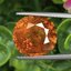 พลอย บุษราคัม yellow sapphire 9.94 กะรัต พร้อมใบเซอร์ พลอยแท้ อัญมณีมงคลประจําวันเกิด เครื่องประดับพลอย