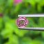 พลอย ชมพู พิ้ง แซฟไฟร์ Pink Sapphire ดิบ Unheated 0.67 กะรัต (Cts.) พลอยแท้ อัญมณีมงคลประจําวันเกิด เครื่องประดับพลอย