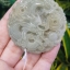 หยก พม่า แท้ Jade จี้หยก (jadeite) แกะสลักรูปมังกร ดิบ ไม่ผ่านการปรับปรุง (Type A) พม่า (Myanmar)