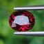 พลอย โรโดไลต์ กาเน็ท Rhodolite Garnet 2.50 กะรัต Cts.พลอยแท้ อัญมณีมงคลประจําวันเกิด เครื่องประดับพลอย