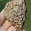 ก้อนผลึก ไพไรท์ Raw Rough Pyrite 255 กรัม (Grams) พลอยแท้ อัญมณีมงคลประจําวันเกิด เครื่องประดับพลอย