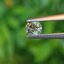 พลอย อเล็กซานไดร์ (Natural Alexandrite Chrysoberyl) 0.36 กะรัต (Cts.) ดิบ (Unheated) พร้อมใบเซอร์ พลอยแท้ อัญมณีมงคลประจําวันเกิด เครื่องประดับพลอย