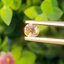 พลอย อเล็กซานไดร์ (Natural Alexandrite Chrysoberyl) เจ้าสามสี 0.48 กะรัต (Cts.) พร้อมใบเซอร์ พลอยแท้ อัญมณีมงคลประจําวันเกิด เครื่องประดับพลอย