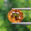 พลอย บุษราคัม yellow sapphire 4.51 กะรัต (Cts.) พลอยแท้ อัญมณีมงคลประจําวันเกิด เครื่องประดับพลอย