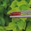 พลอย ทับทิม ซองเจีย Songea Ruby Sapphire 3.80 กะรัต (Cts.) พร้อมใบเซอร์ พลอยแท้ อัญมณีมงคลประจําวันเกิด เครื่องประดับพลอย