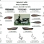 ชุดพลาสติกและเฟรมสี ดรีม125ปี2002-2006 ทุกสี