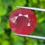 พลอย ทับทิม Ruby sapphire 13.16 กะรัต (Cts.) พร้อมใบเซอร์ พลอยแท้ อัญมณีมงคลประจําวันเกิด เครื่องประดับพลอย