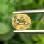 พลอย บุษราคัม Yellow Sapphire 1.64 กะรัต (Cts.) ดิบ ไม่ผ่านการเผา (Unheated) พร้อมใบเซอร์ พลอยแท้ อัญมณีมงคลประจําวันเกิด เครื่องประดับพลอย