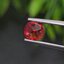 พลอย ทับทิม ซองเจีย Songea Ruby Sapphire 1.04 กะรัต (Cts.) พร้อมใบเซอร์ พลอยแท้ อัญมณีมงคลประจําวันเกิด เครื่องประดับพลอย