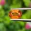 พลอย บุษราคัม yellow sapphire 1.00 กะรัต (Cts.) พลอยแท้ อัญมณีมงคลประจําวันเกิด เครื่องประดับพลอย