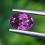 พลอย ม่วง แซฟไฟร์ Violet Purple Sapphire ดิบ Unheated 0.90 กะรัต (Cts.) พลอยแท้ อัญมณีมงคลประจําวันเกิด เครื่องประดับพลอย