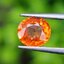 พลอย บุษราคัม Yellow Sapphire 0.98 กะรัต (Cts.) พลอยแท้ อัญมณีมงคลประจําวันเกิด เครื่องประดับพลอย