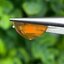 พลอย บุษราคัม yellow sapphire 7.10 กะรัต (Cts.) เผาใหม่ พลอยแท้ อัญมณีมงคลประจําวันเกิด เครื่องประดับพลอย