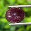 พลอย ทับทิม (Ruby Sapphire) 5.98 กะรัต (Cts.) ดิบ พลอยแท้ อัญมณีมงคลประจําวันเกิด เครื่องประดับพลอย