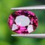 พลอย โรโดไลต์ กาเน็ท Rhodolite Garnet 1.40 กะรัต Cts.พลอยแท้ อัญมณีมงคลประจําวันเกิด เครื่องประดับพลอย