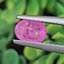 พลอย ชมพู พิ้ง แซฟไฟร์ Pink Sapphire 0.70 กะรัต (Cts.) พลอยแท้ อัญมณีมงคลประจําวันเกิด เครื่องประดับพลอย