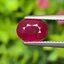 พลอย ทับทิม พม่า (Burmese Ruby Sapphire) 2.25 กะรัต พร้อมใบเซอร์ พลอยแท้ อัญมณีมงคลประจําวันเกิด เครื่องประดับพลอย