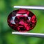 พลอย โรโดไลต์ กาเน็ท Rhodolite Garnet 2.64 กะรัต Cts.พลอยแท้ อัญมณีมงคลประจําวันเกิด เครื่องประดับพลอย