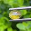 พลอย ตาแมว คริโซเบริล Cat eye Chrysoberyl 1.10 กะรัต (Cts.)