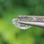 พลอย พาไรบ้า ทัวร์มาลีน Paraiba Tourmaline 1.08 กะรัต (Cts.) พร้อมใบเซอร์ พลอยแท้อัญมณีมงคล ประจําวันเกิด เครื่องประดับพลอย