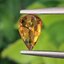 พลอย บุษราคัม yellow sapphire 1.07 กะรัต (Cts.) พลอยแท้ อัญมณีมงคลประจําวันเกิด เครื่องประดับพลอย
