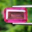 พลอย ทับทิม Ruby sapphire 4.50 กะรัต (Cts.) พลอยแท้ อัญมณีมงคลประจําวันเกิด เครื่องประดับพลอย