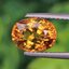 พลอย บุษราคัม yellow sapphire 2.66 กะรัต (Cts.) พลอยแท้ อัญมณีมงคลประจําวันเกิด เครื่องประดับพลอย