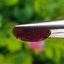 พลอย ทับทิม (Ruby Sapphire) 5.33 กะรัต (Cts.) พลอยแท้ อัญมณีมงคลประจําวันเกิด เครื่องประดับพลอย